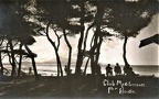 Alcudia - la pinède