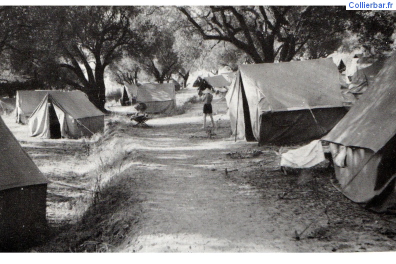 Alcudia 1950 jpg.jpg