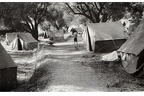 Alcudia 1950 jpg