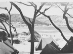 Alcudia, 1950 (6758 visits) Club Méditerranée Alcudia 1950
Alcudia, 1950