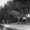 Club Mediterranée Alcudia 1950