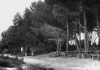 Club Mediterranée Alcudia 1950 (6625 visits) Le restaurant et à l’arrière plan quelques tentes Club Mediterranée Alcudia 1950