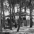 Club Mediterranée Alcudia 1950