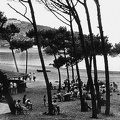Club Mediterranée Alcudia 1950