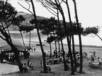Club Mediterranée Alcudia 1950 (6525 visits) Le bar Club Mediterranée Alcudia 1950