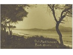 Alcudia 1950 (6449 visits) La plage depuis la pinède, on distingue le ponton Alcudia 1950