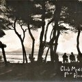Alcudia - la pinède