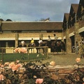 Centre Equestre (1984 visites) le Centre Équestre du village Centre Equestre