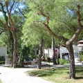 Club Med Beldi 