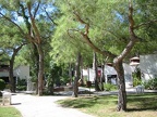 Club Med Beldi 