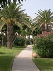 Club Med Smir les jardisn (14857 visits) Club Med Smir les jardisn Club Med Smir les jardisn