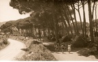 Golfo di Baratti 1951 (6336 visits) Golfo di Baratti 1951 Golfo di Baratti 1951