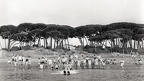 Baratti, les naufragés!!!!
