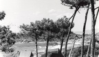Baratti, sauvage (7068 visits) Club Méditerranée Golfo di Baratti années 50 Baratti, sauvage
