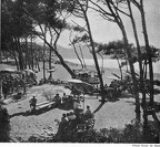 Baratti