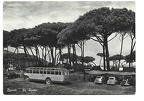 baratti bus