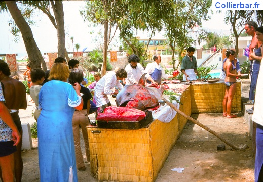 Agadir 78-30