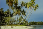 Moorea